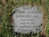 image of grave number 346560